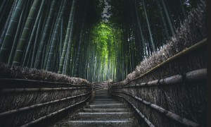 Kyoto_photo (18)