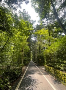 karuizawa (12)