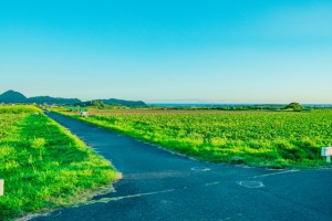 田舎道AC