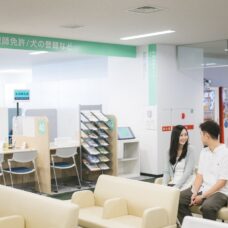 札幌區役所室內自然光婚姻登記紀念照｜ST WEDDING
